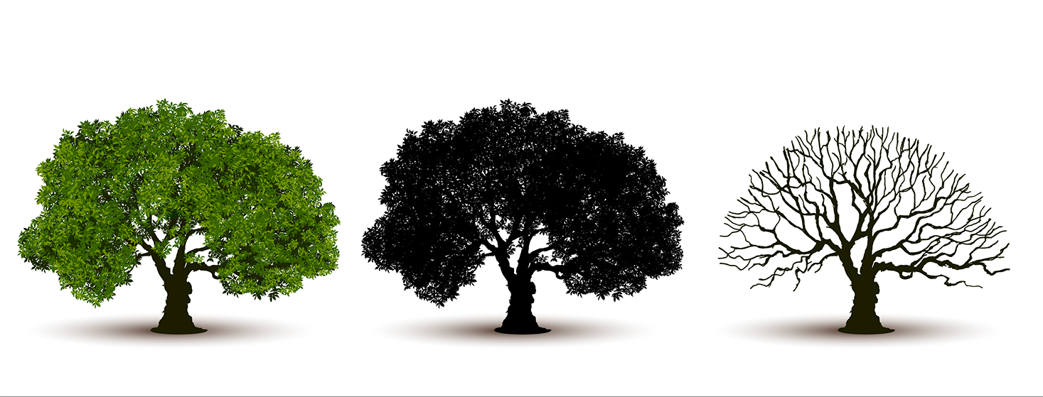 Provenance d'une image